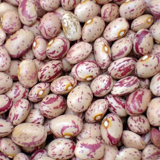 لوبیا چیتی (فله)