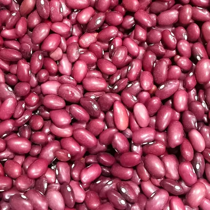 لوبیا قرمز (فله)