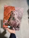کلاسور
