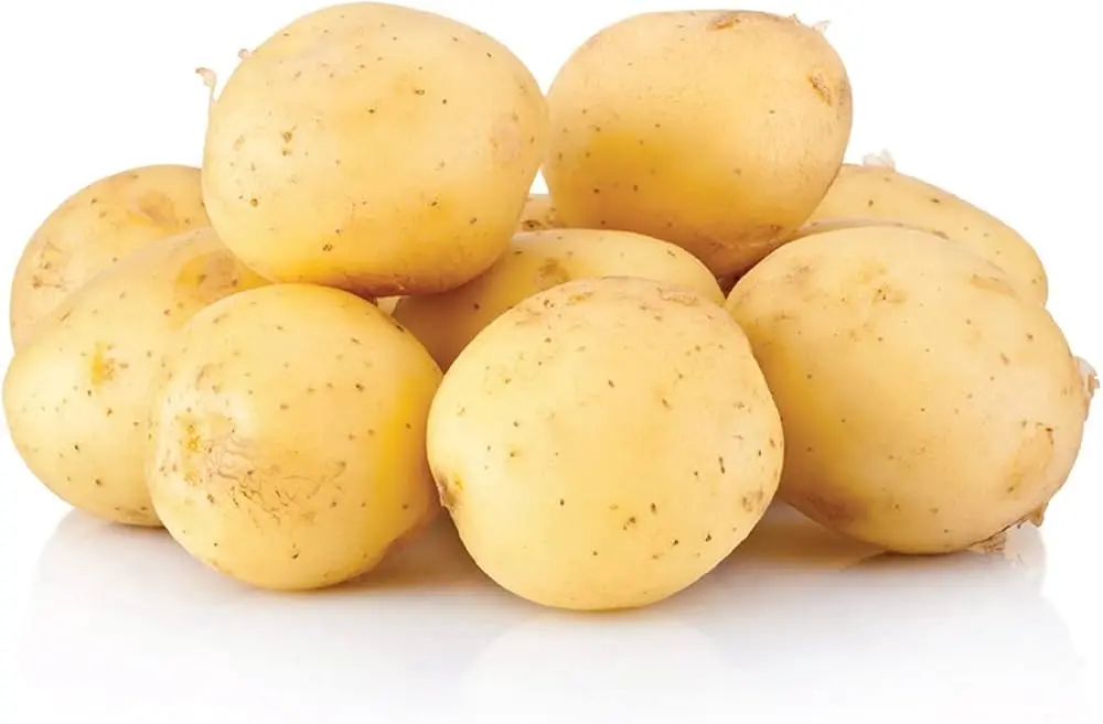 سیب زمینی